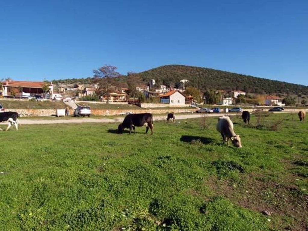 מלון Psarades Arhontiko מראה חיצוני תמונה